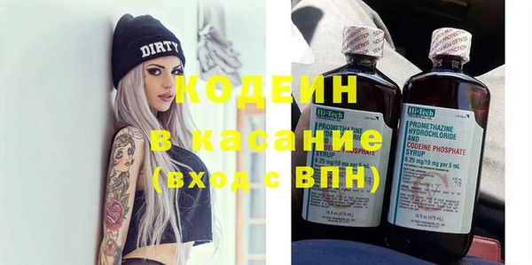 шишки Рославль