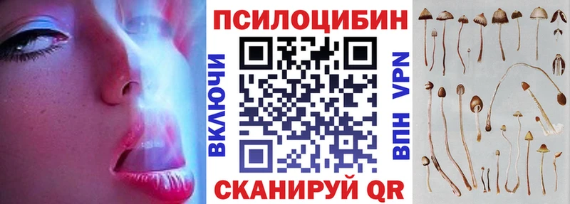 наркошоп  мега как войти  дарк нет наркотические препараты  Рассказово  Псилоцибиновые грибы Psilocybe 